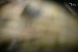 Cojiendo mi tia mayor