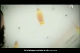 Putas cogidas por los caballo fotos