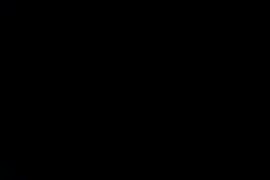 Www.petardosxxx.com