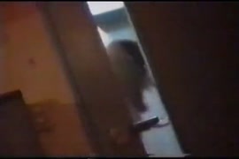 Video de mujeres. gosando con pene grandre