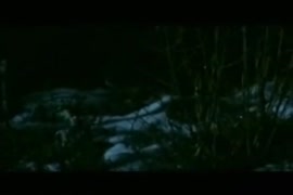 Venezolana 3pg videos pornográfico caseros