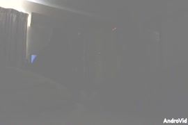 Videosxxxcon animalesparacel