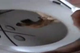 Colegiala mexicama sexo oral poringa