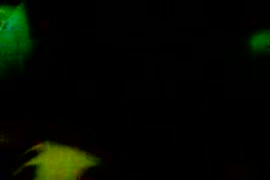 Videos porno travestis super jovenes