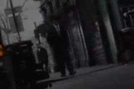 Fotos de chocho pequeños